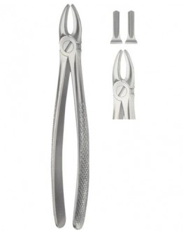  Tooth Forceps for upper incisor and Canines 